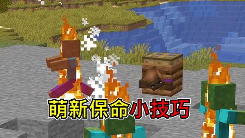 我的世界小技巧视频,视频教你轻松升级游戏技巧