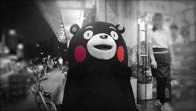 熊本熊搞笑视频,萌态百出，笑料连连