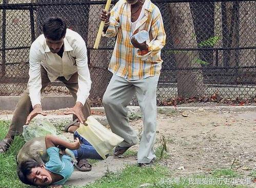 动物攻击人的视频,动物攻击人类事件的现场还原