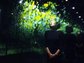 宅男宅女午夜免费视频,免费视频背后的秘密世界