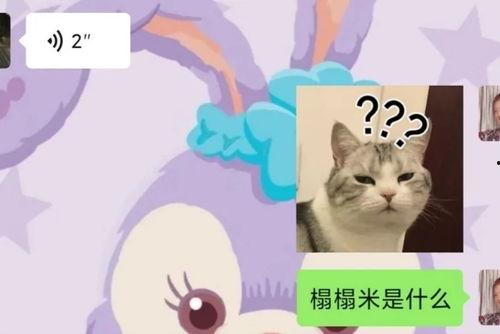 宅男宅女午夜免费视频,免费视频背后的秘密世界