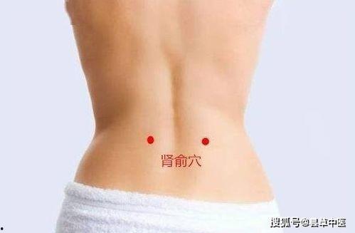 搞穴视频,传统养生与现代科技的完美融合