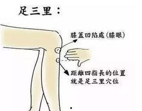 搞穴视频,传统养生与现代科技的完美融合