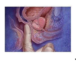 肛门直肠指检视频,肛门直肠指检操作步骤及要点解析