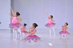 教小孩子跳舞视频,轻松开启快乐舞动时光