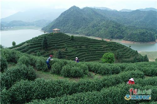 宜黄县视频,探寻古韵新颜的美丽家园