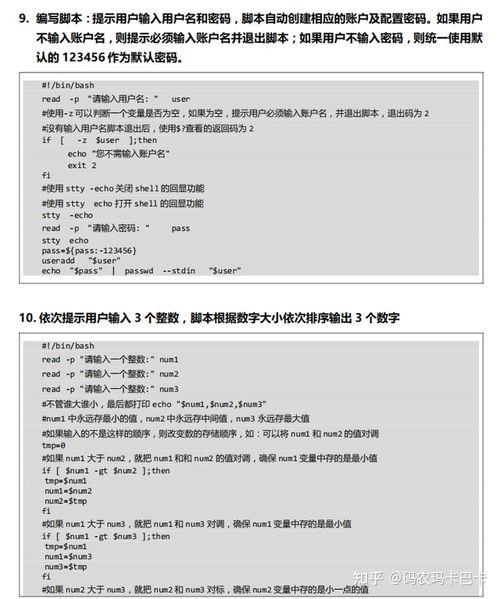 短片视频脚本范文